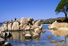 关于意大利拦路虎法国依旧劲头十足的信息